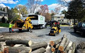 Best Lawn Pest Prevention  in Bangs, TX